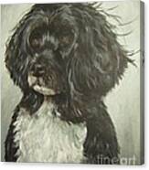 Portuguese Water Dog Canvas Print