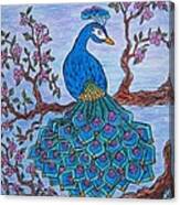 Pretty As A Peacock Canvas Print