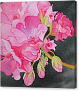 Pretty In Pink Canvas Print