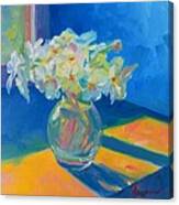 Primroses In Spring Light - Still Life Canvas Print