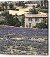 Provencal Canvas Print