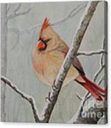 Puffed Up For Winters Wind Canvas Print