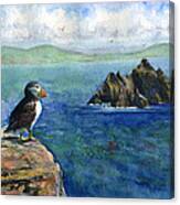 Puffin At Skellig Island Ireland Canvas Print