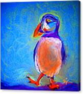 Funky Puffin Dancing Canvas Print