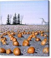 Pumpkin Field Canvas Print