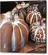 Pumpkins And Gourds Fall Autumn Brown White Pumpkins - Colors Of Autumn Canvas Print