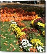 #pumpkins #autumn #beavercreekstatepark Canvas Print