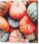 Pumpkins Galore Canvas Print