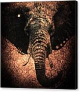 Punkphant Canvas Print