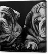 Puppies Canvas Print
