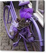 Purple Bicycle On Street, Limburg An Canvas Print