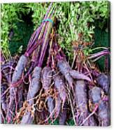 Purple Carrots At A Farmers Market Canvas Print