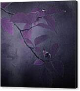 Purple Dusk Canvas Print