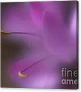 Purple Essence Canvas Print