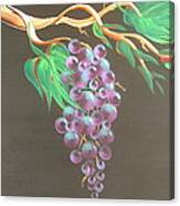 Purple Grapes 2 Canvas Print