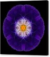 Purple Iris Ii Flower Mandala Canvas Print