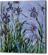 Purple Irises Canvas Print