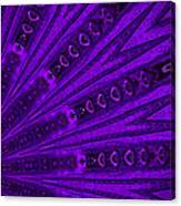 Purple Longheart Canvas Print