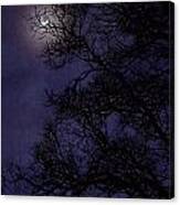 Purple Nights Canvas Print