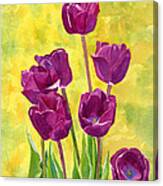 Purple Tulips Yellow Textured Background Canvas Print