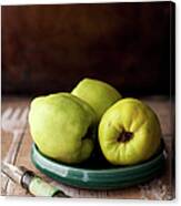 Quince Canvas Print