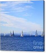 Race In Point Roberts Canvas Print