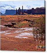 Rain In A Dry Land Canvas Print