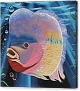 Rainbow Devil Fish Canvas Print