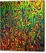 Rainbow Distortion 3 Canvas Print