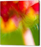 Rainbow Flower Canvas Print