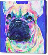 Rainbow French Bulldog Canvas Print