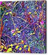 Rainbow Jungle Wild Flower Patch Canvas Print