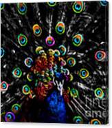 Rainbow Peacock Canvas Print