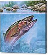 Rainbow Trout Split Level Canvas Print