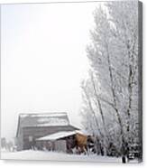 Ranch In Frozen Fog Canvas Print