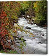 Rapids At Bedford Mill Canvas Print