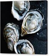 Raw Oysters Canvas Print