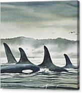 Realm Of The Orca Canvas Print