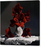 Red Amaryllis Canvas Print