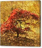 Red And Gold Canvas Print