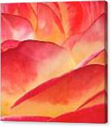 Red And Yellow Rose Canvas Print