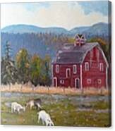 Red Barn In Montana Canvas Print