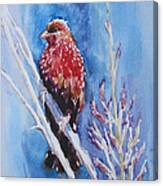 The Red Bird With Pink Flowers Canvas Print