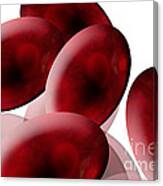 Red Blood Cells Canvas Print