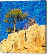 Red Canyon - Dixie National Forest Canvas Print
