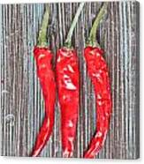 Red Chilis Canvas Print