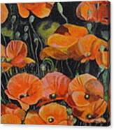 Red Corn Poppies Canvas Print
