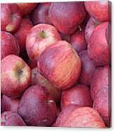 Red Delicious Canvas Print