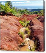 Red Dirt River, Kauai Canvas Print