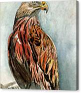 Red Eagle Canvas Print